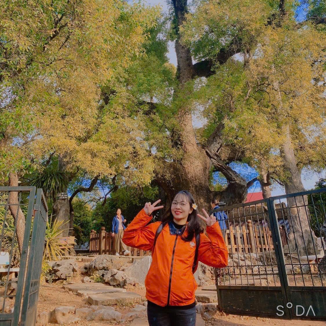 Chuyên gia tư vấn 1fpt.vn